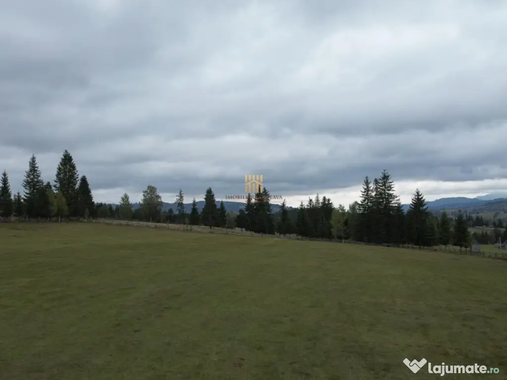 Teren 2804 mp, la munte! In Bucovina – Fundu Moldovei! 