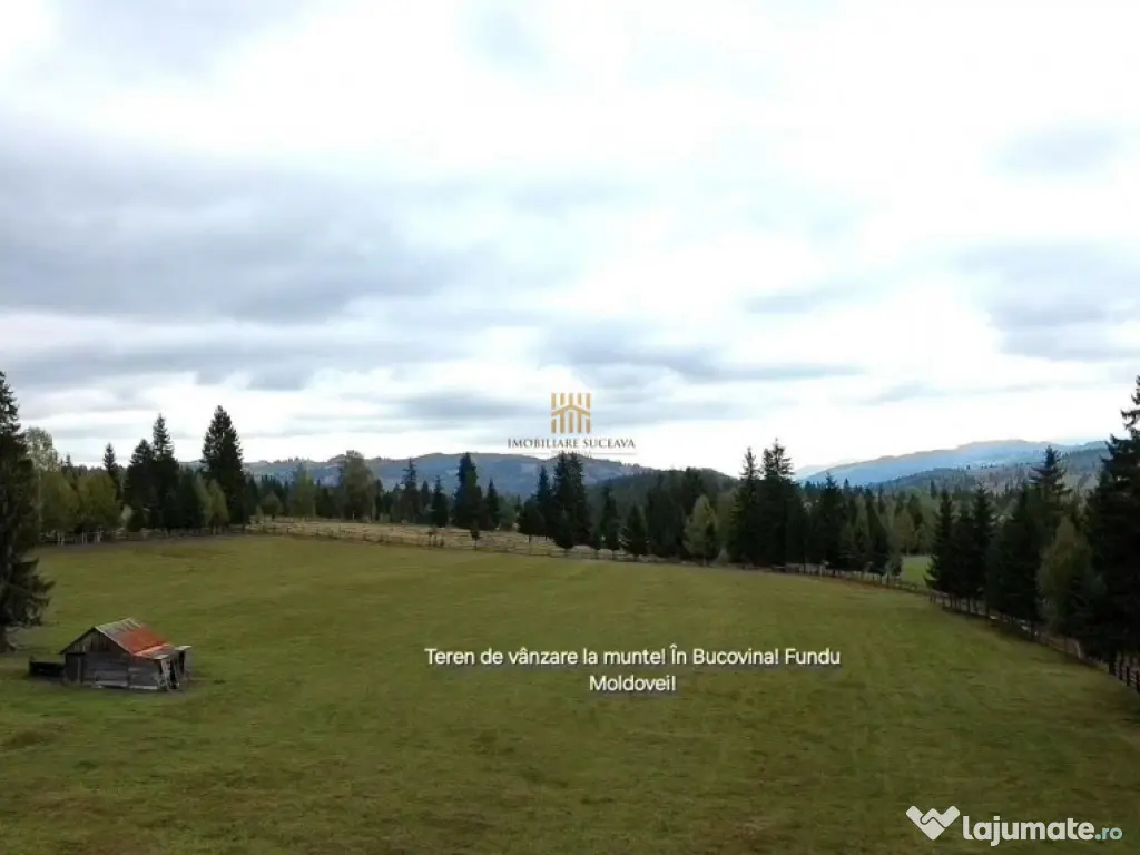 Teren 2804 mp, la munte! In Bucovina – Fundu Moldovei! 