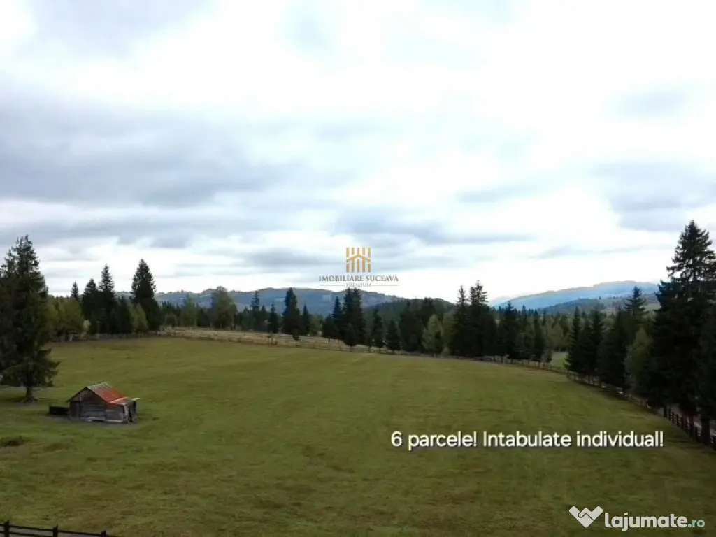 Teren 2804 mp, la munte! In Bucovina – Fundu Moldovei! 