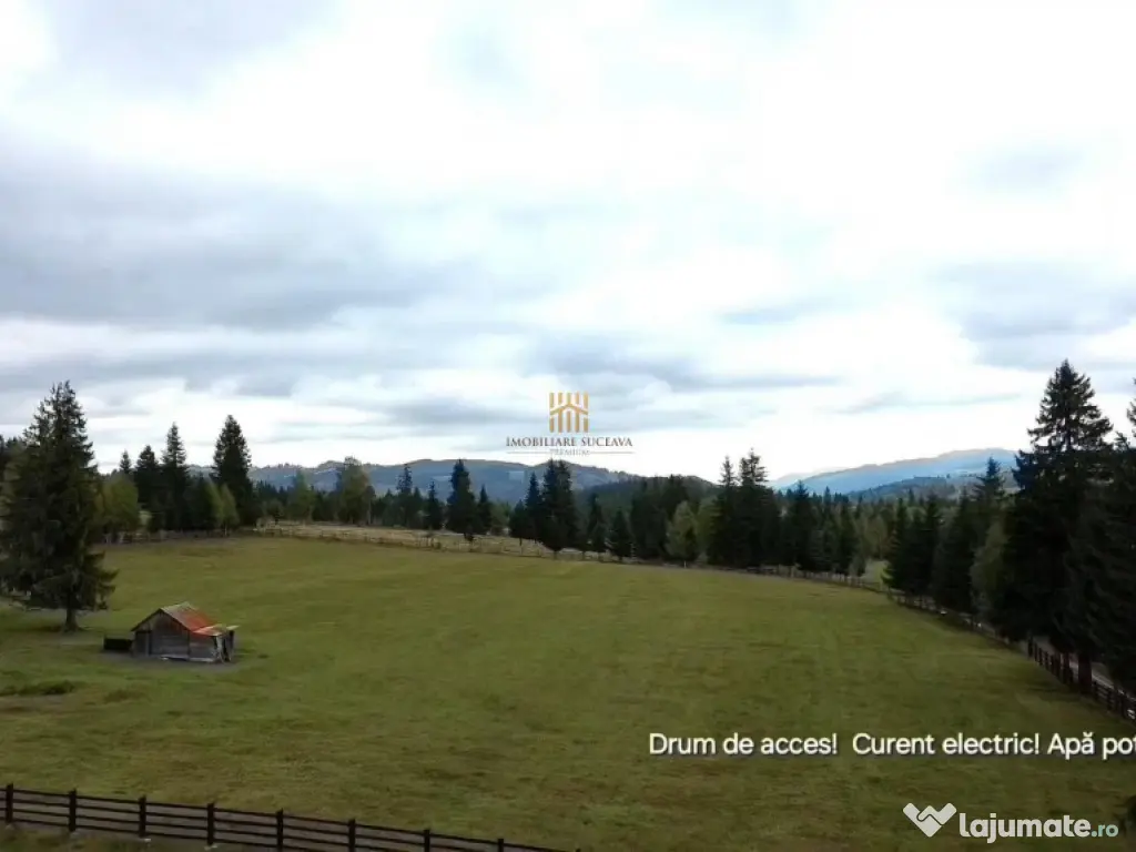 Teren 2804 mp, la munte! In Bucovina – Fundu Moldovei! 