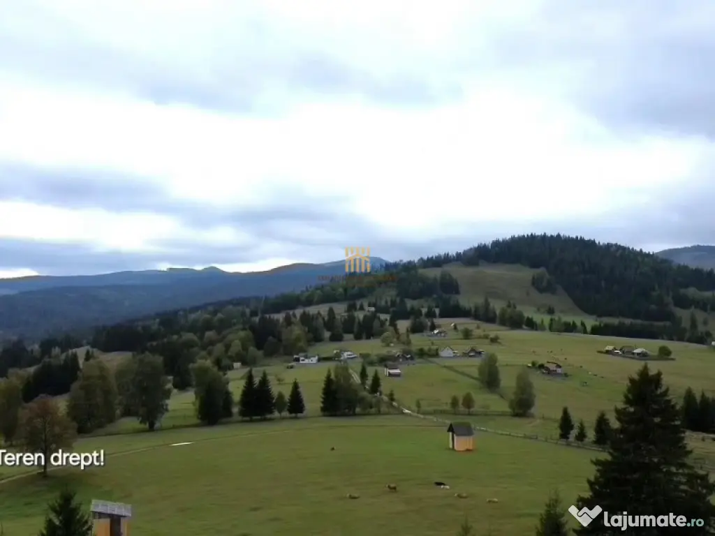 Teren 2804 mp, la munte! In Bucovina – Fundu Moldovei! 