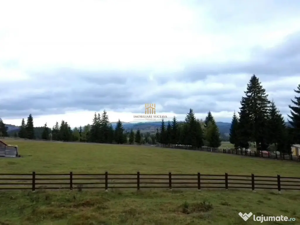 Teren 2804 mp, la munte! In Bucovina – Fundu Moldovei! 