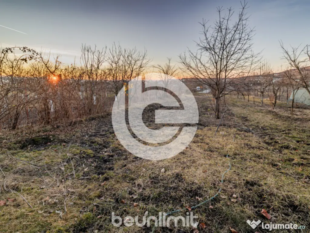 Casa individuala Sibiu - Un singur nivel - Teren 1310Mp - 2 