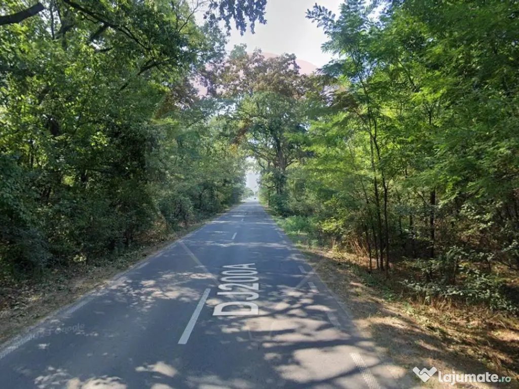 Teren 10,000mp Afumati | Padure | Soseaua Petrachioaia 