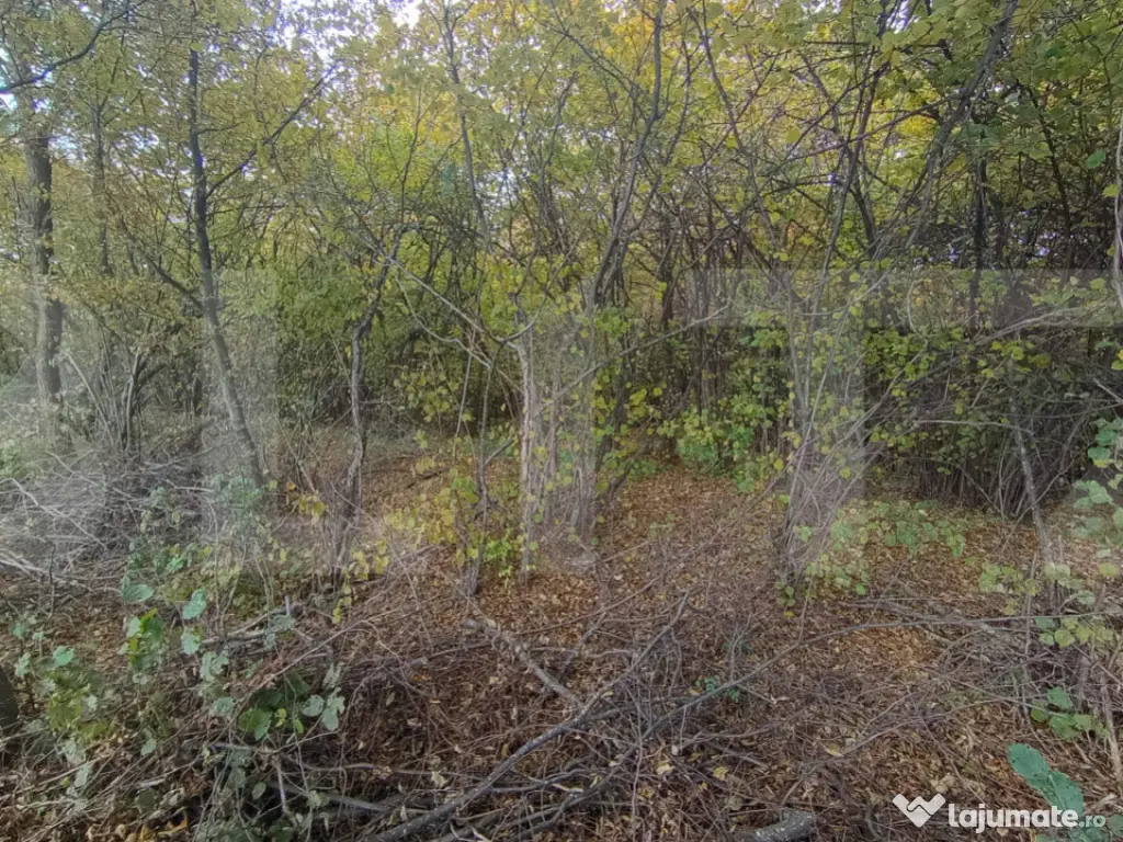 Teren de investitie 1256 mp