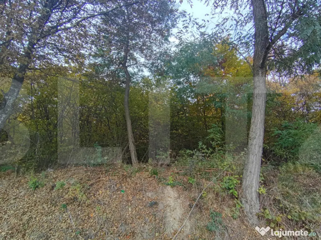 Teren de investitie 1256 mp