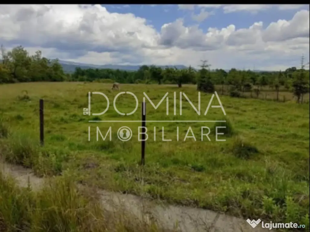 Teren 5000 mp, cu utilități, în comuna Crasna 