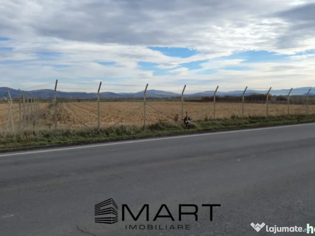 Teren intravilan Calea Feldioarei