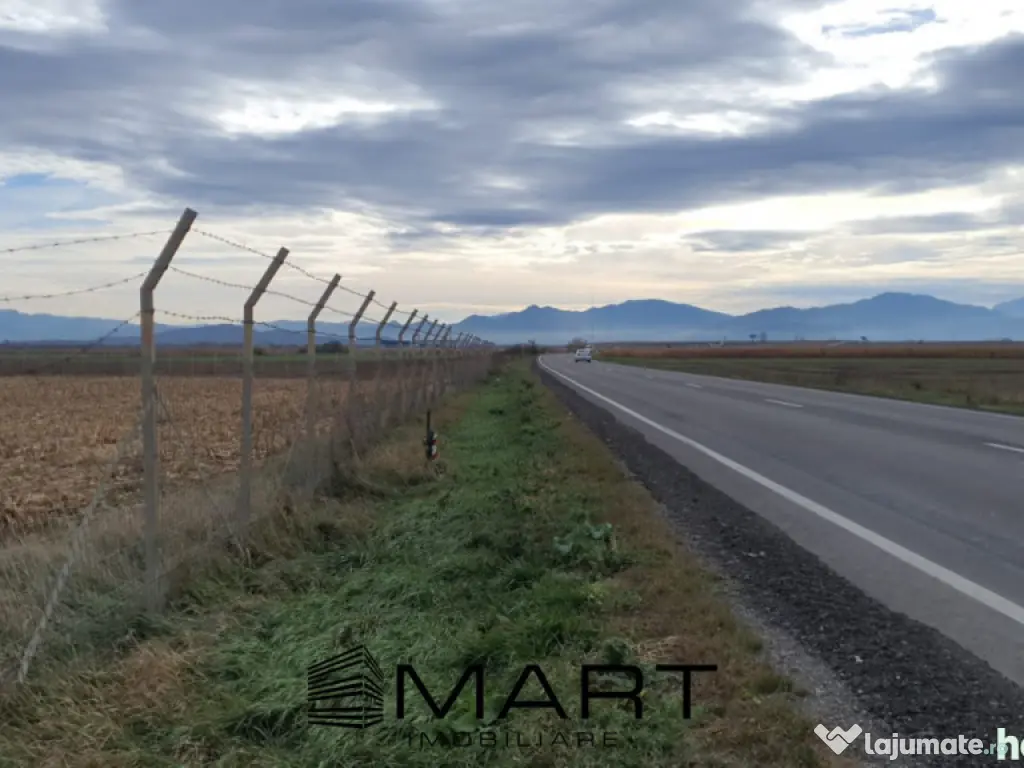 Teren intravilan Calea Feldioarei