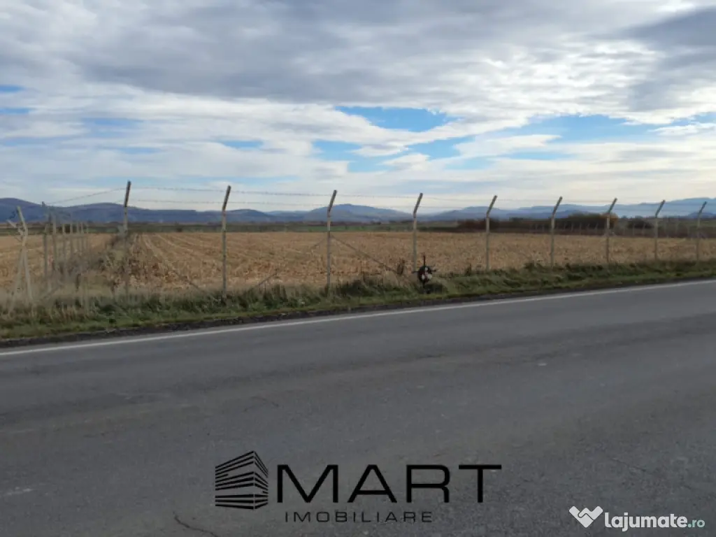 Teren intravilan Calea Feldioarei 