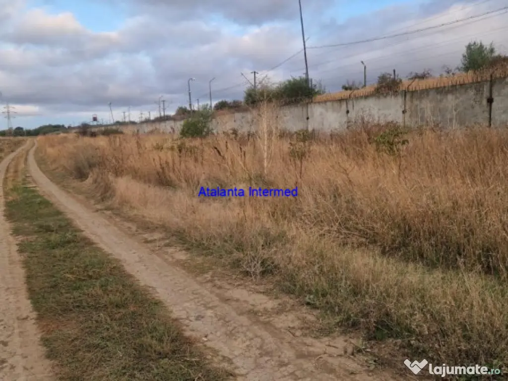 Teren constructie hale