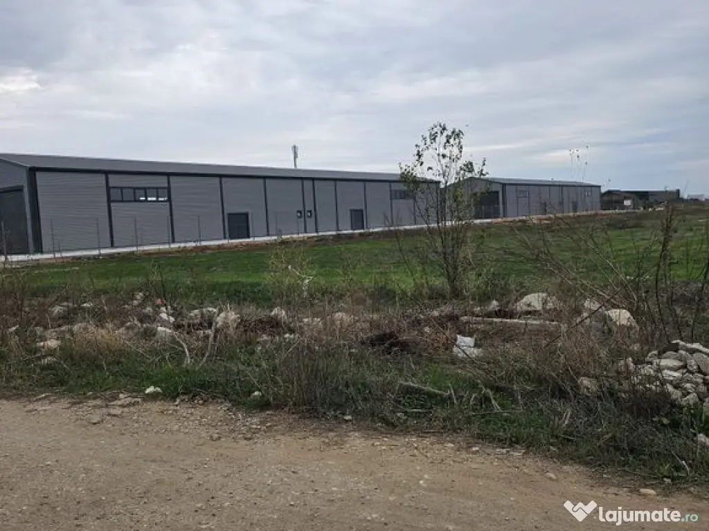 2 hale noi 2025 Magurele ( Constructoriilor ) 