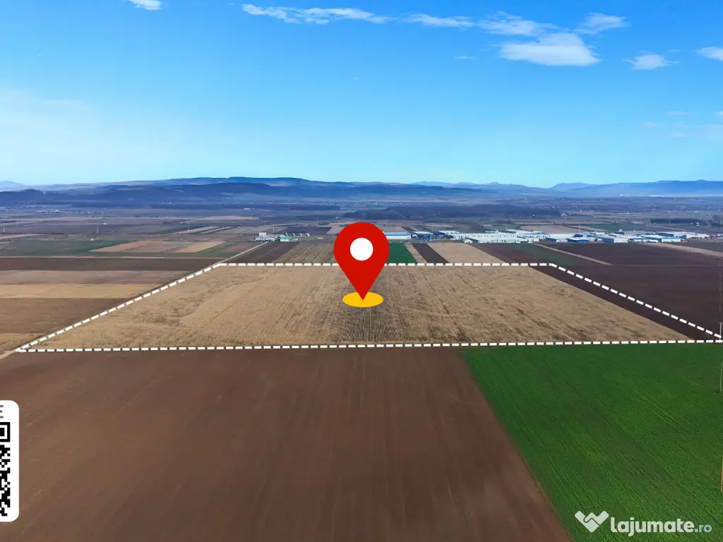 Teren 32,5 Ha compact Prejmer Brasov 