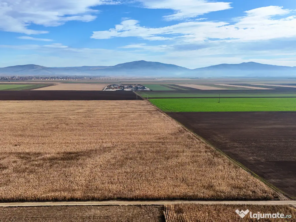 Teren 32,5 Ha compact Prejmer Brasov 