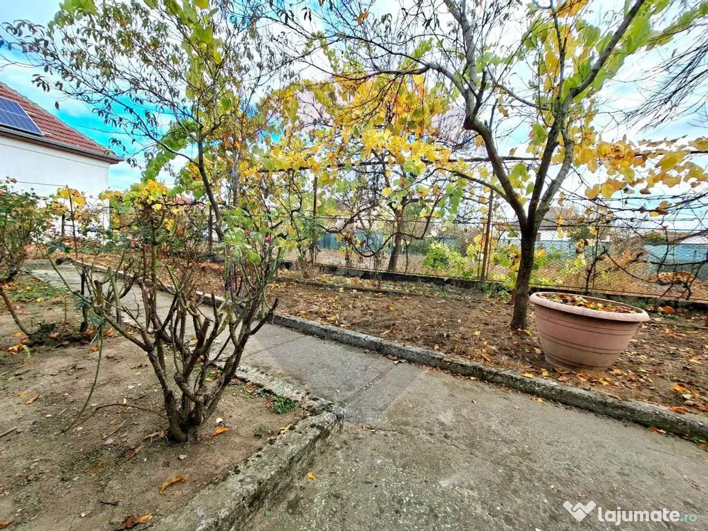 Casa veche cu teren 929 mp- oportunitate in Vladimirescu-... 