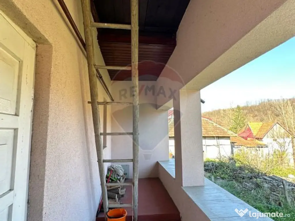 DE VANZARE- GOSPODARIE cu 95 arii teren 