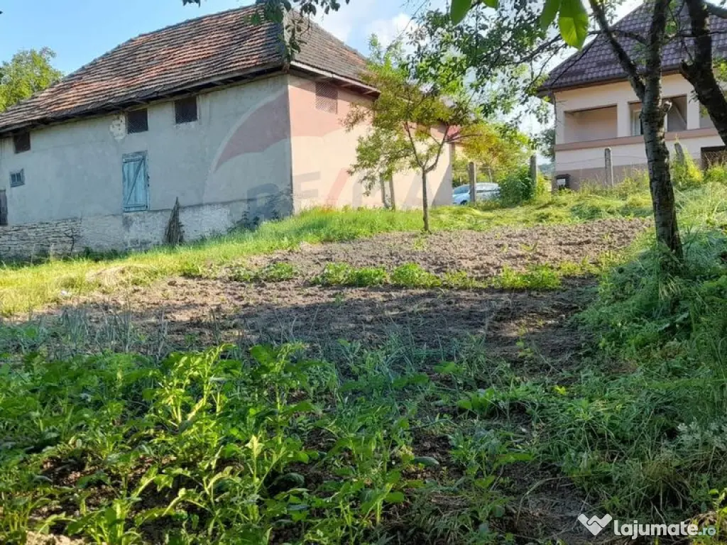 DE VANZARE- GOSPODARIE cu 95 arii teren 