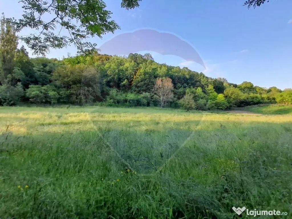 DE VANZARE- GOSPODARIE cu 95 arii teren 