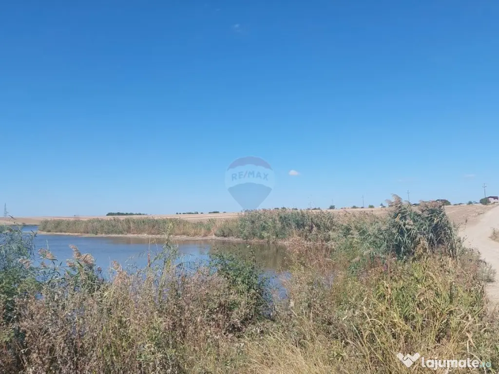 Teren de vânzare – Balotești, Strada Lacului, ansambl... 