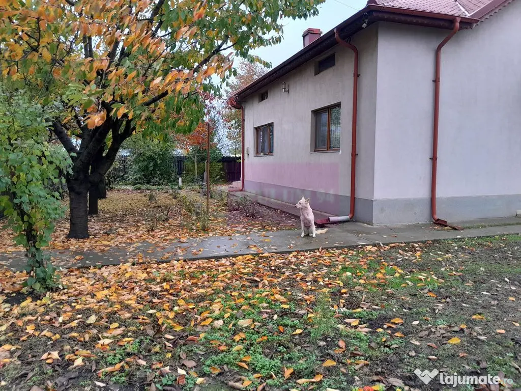 ISLAZ / IF - CASA P+1 (7 CAM) DE VANZARE 