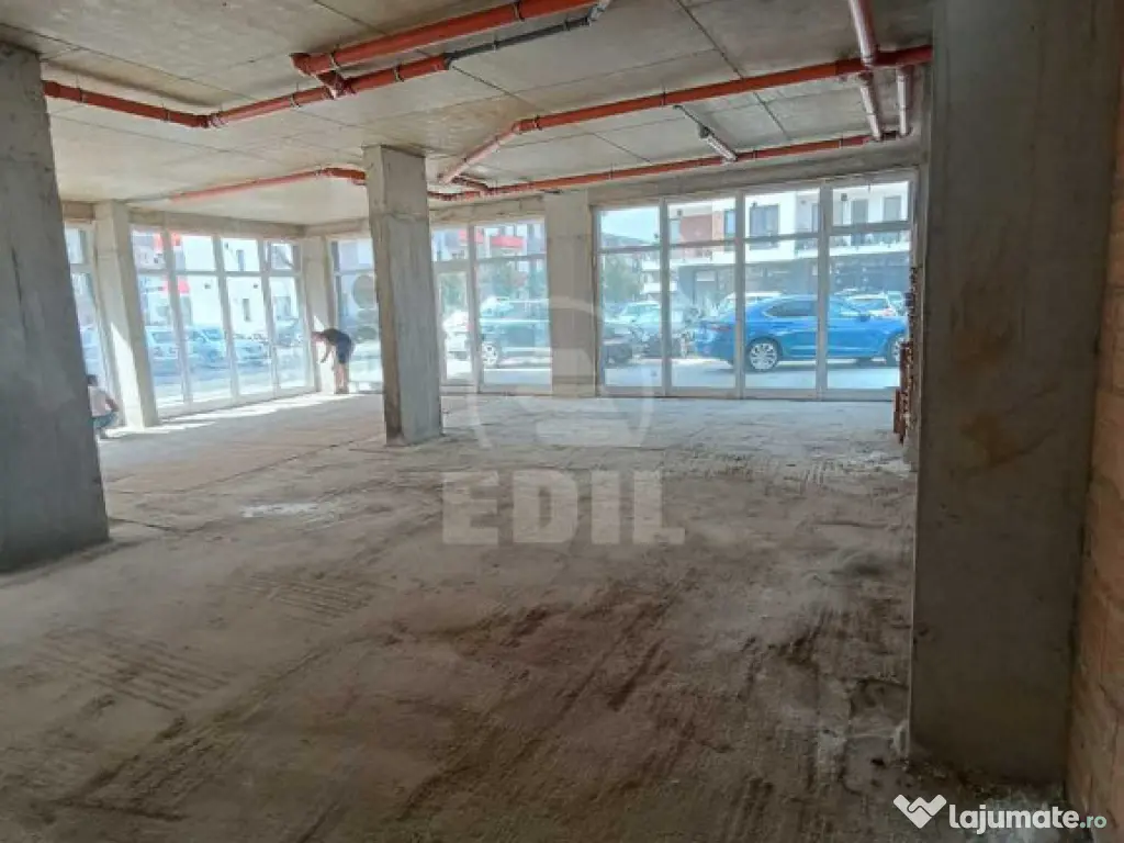 Spatiu comercial de vanzare, Terra