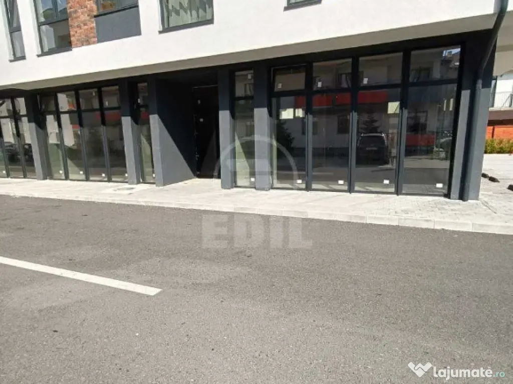 Spatiu comercial de vanzare, Terra