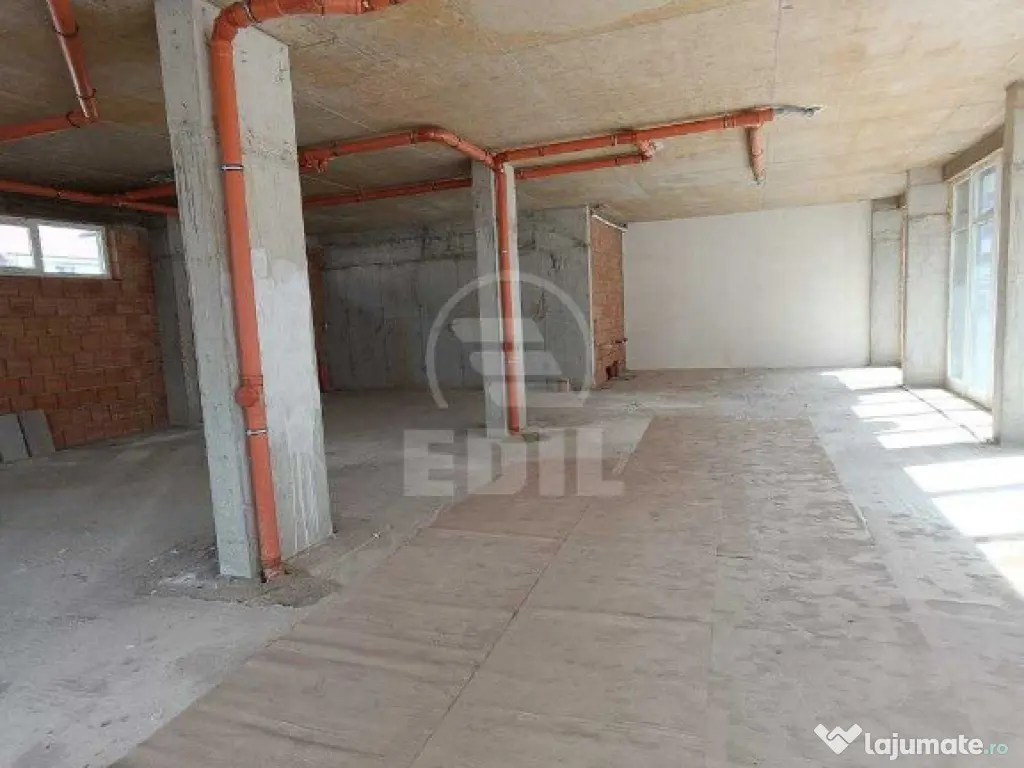 Spatiu comercial de vanzare, Terra