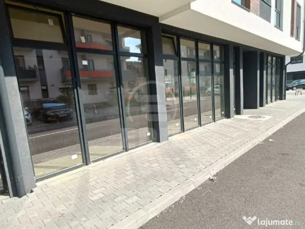 Spatiu comercial de vanzare, Terra