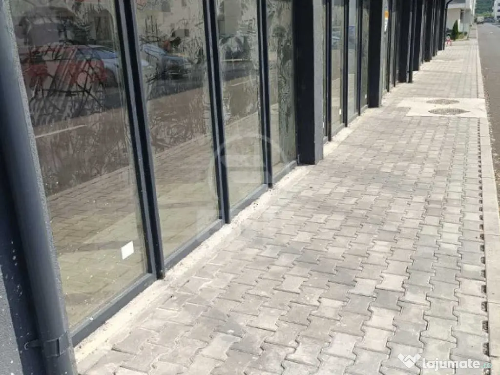 Spatiu comercial de vanzare, Terra