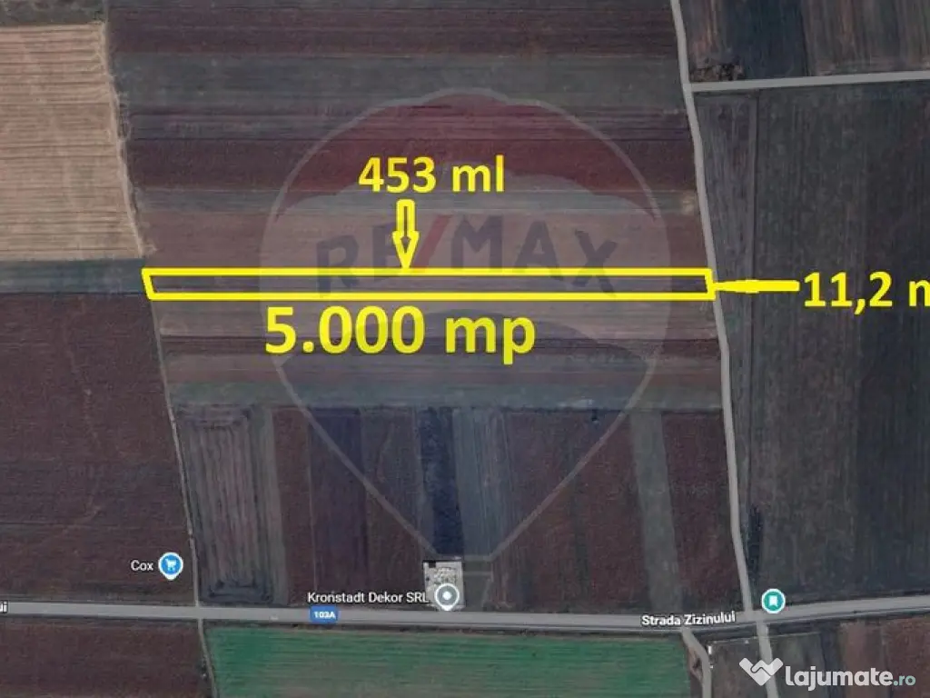 Teren Extravilan 5.000 mp Tarlungeni / Strada Zizinului