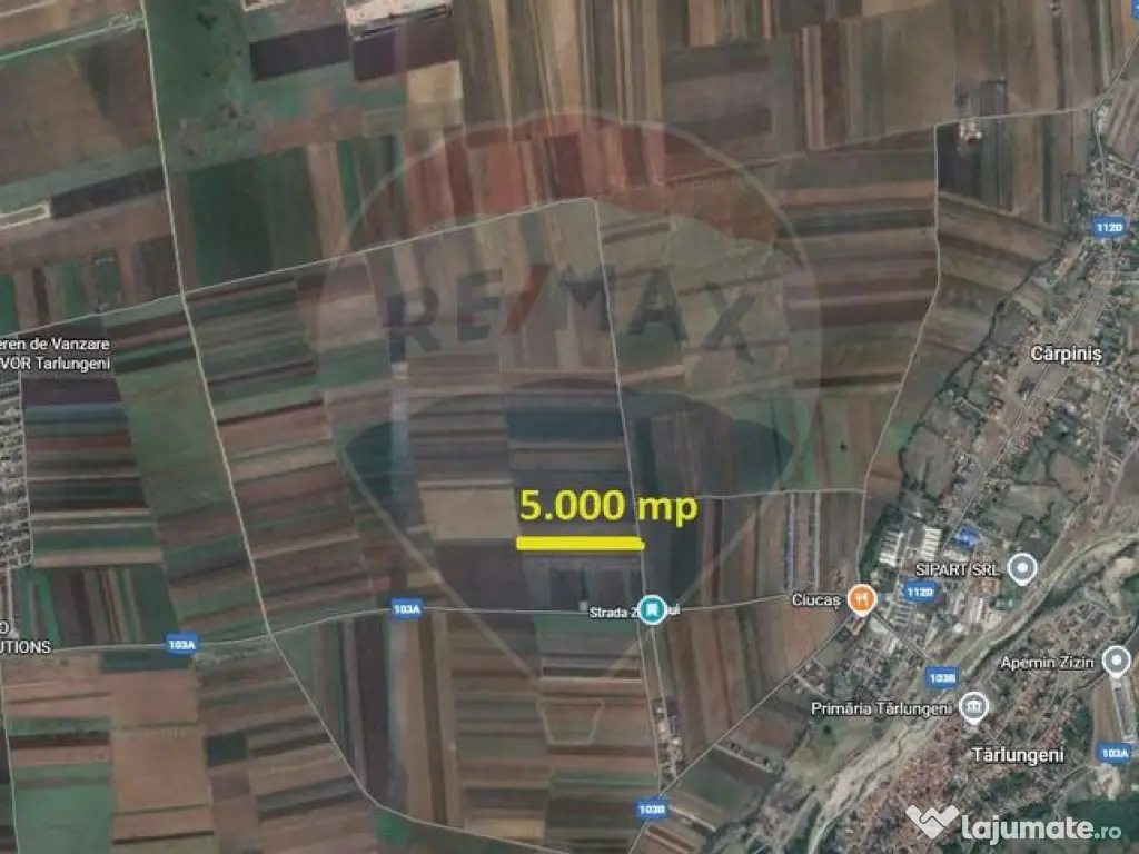 Teren Extravilan 5.000 mp Tarlungeni / Strada Zizinului 