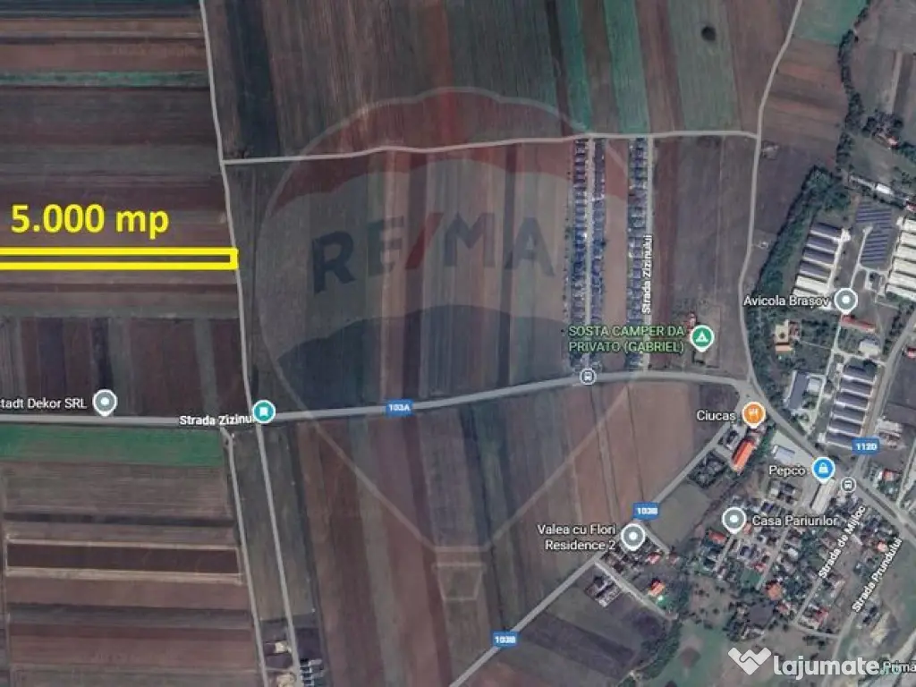 Teren Extravilan 5.000 mp Tarlungeni / Strada Zizinului 