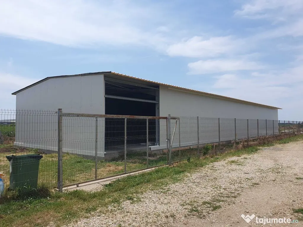 Popesti - hala noua pt depozitare/productie - 220mp 