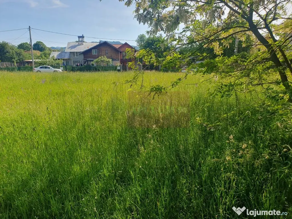 Teren intravilan de vanzare in Breaza 