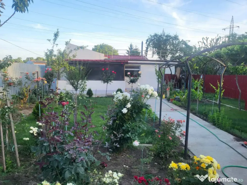 Casă + Hală Industrială + 1000 mp Teren in zona CET, Cons