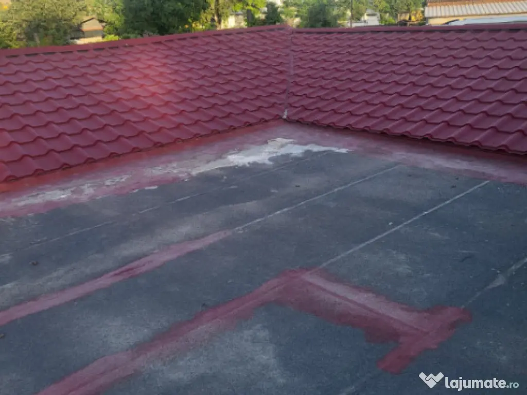 Casă + Hală Industrială + 1000 mp Teren in zona CET, Cons