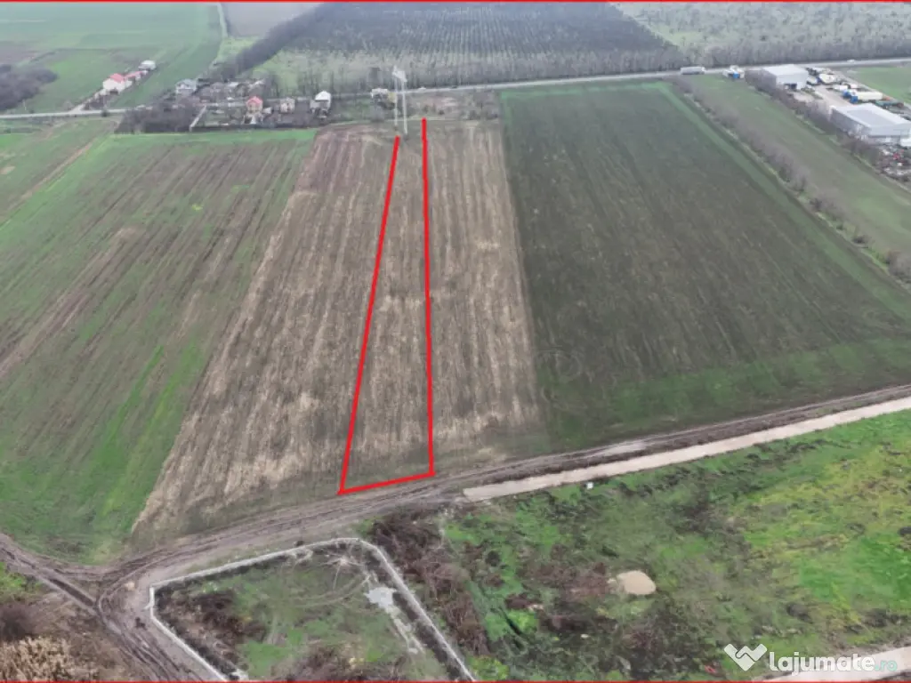 FRUMUSANI-ORASTI, LOT 7630 MP! 