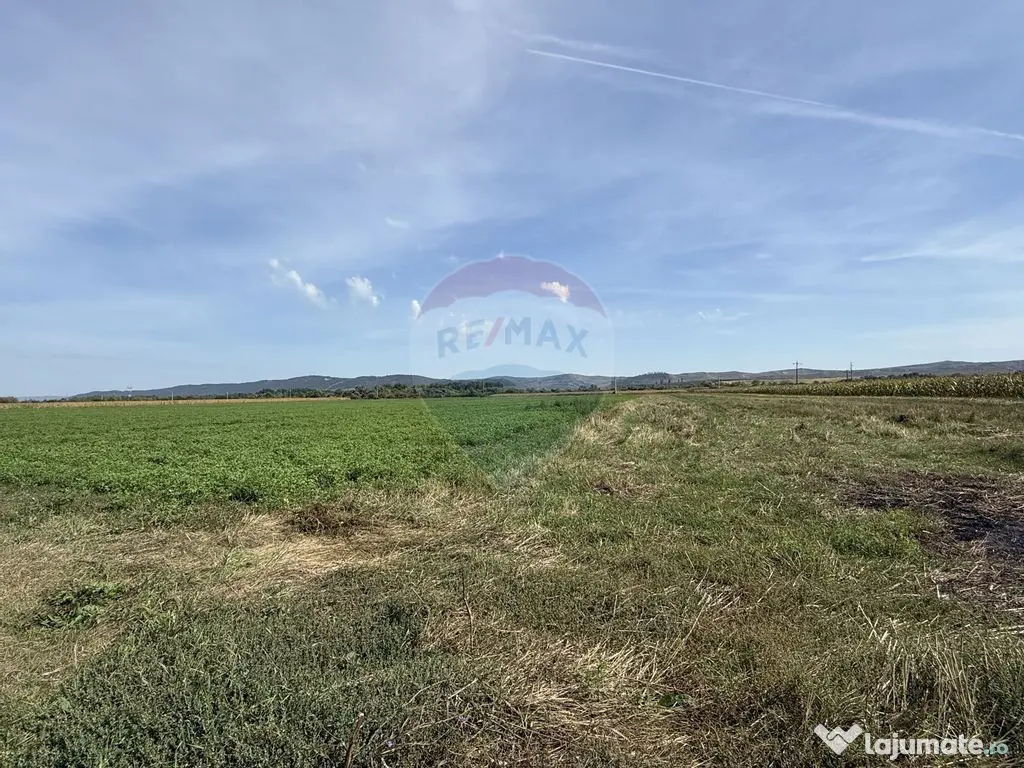 Teren Investitii 2.5 Ha | Zona Tetarom III Rascruci