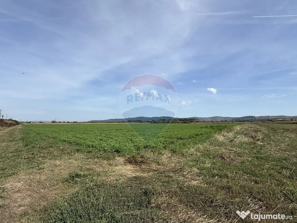 Teren Investitii 2.5 Ha | Zona Tetarom III Rascruci