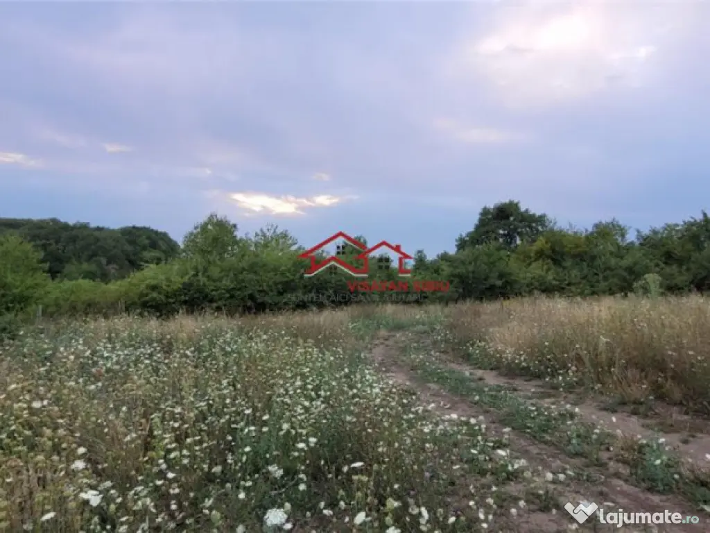 Oportunitate teren zona agrement sau parc eolian,Sibiu 