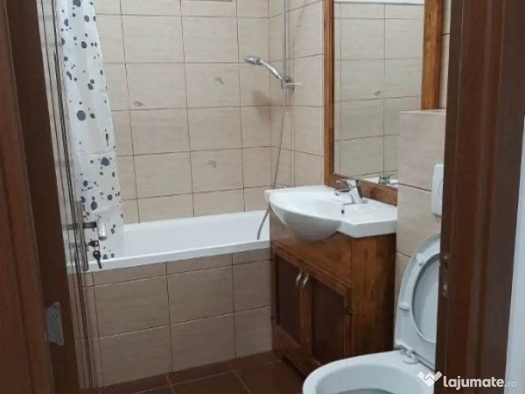 Garsoniera zona Virtutii 