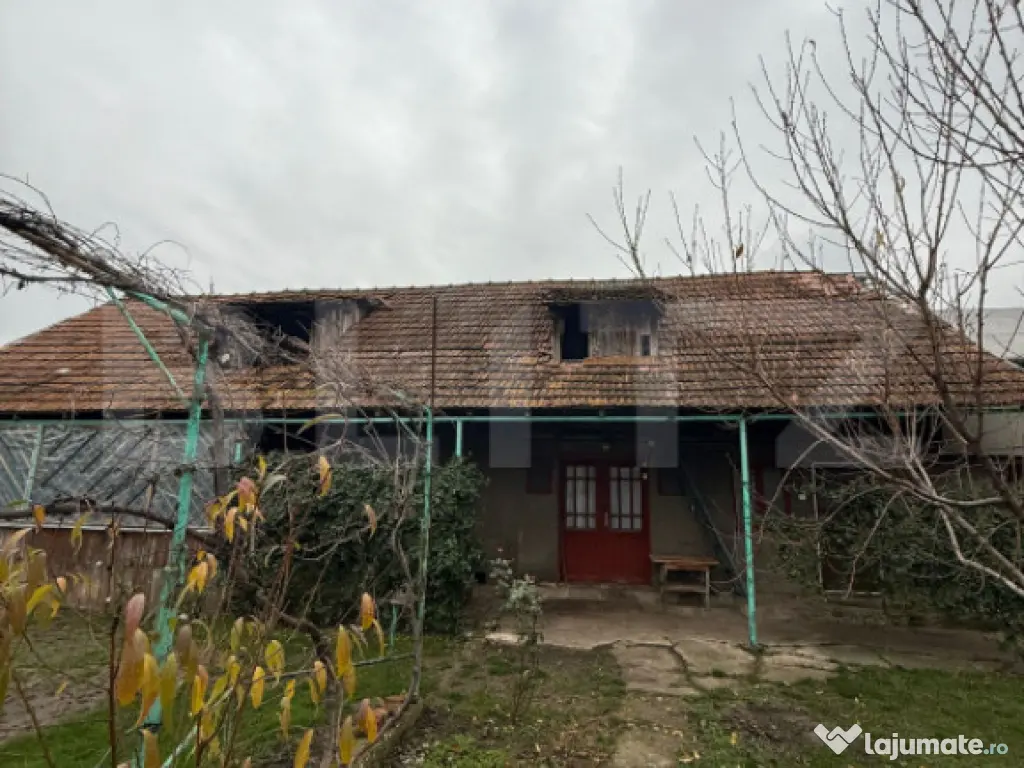 Proprietate completa in Sacuieni- Doua Case + Anexe