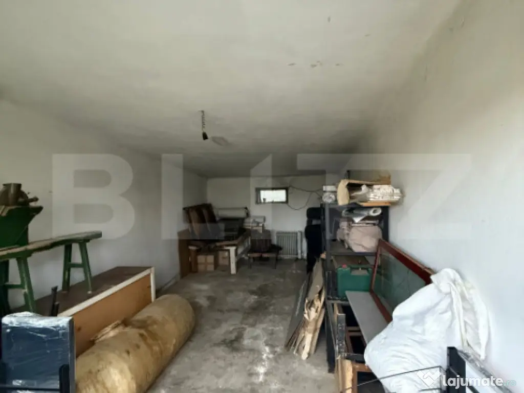 Proprietate completa in Sacuieni- Doua Case + Anexe