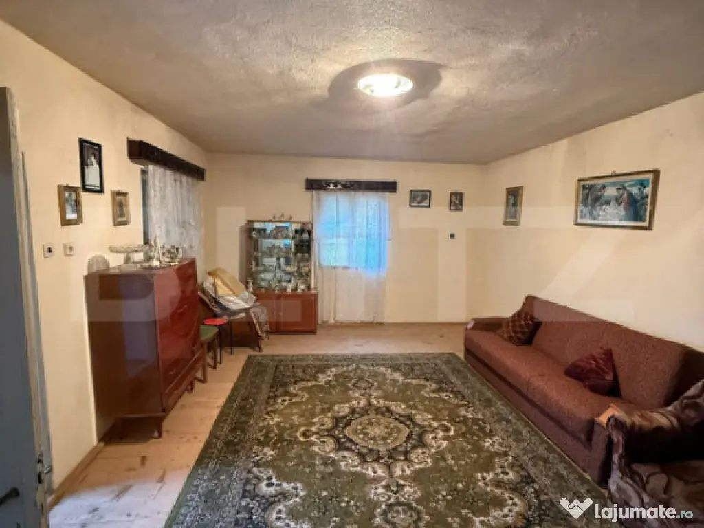 Proprietate completa in Sacuieni- Doua Case + Anexe