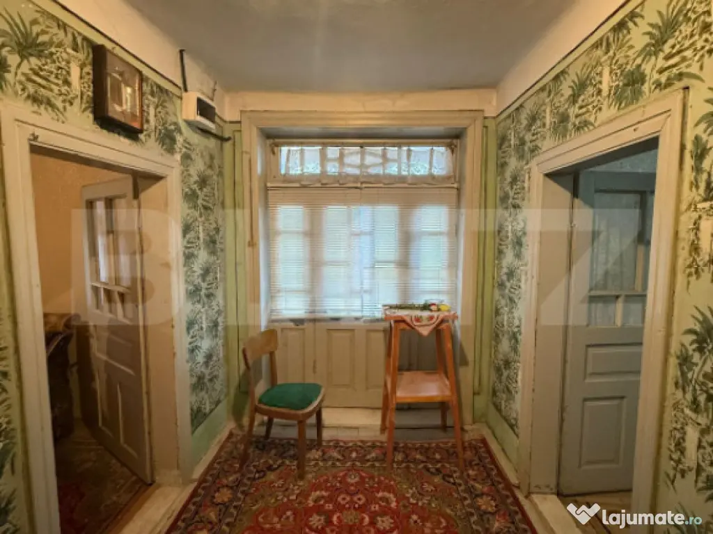 Proprietate completa in Sacuieni- Doua Case + Anexe