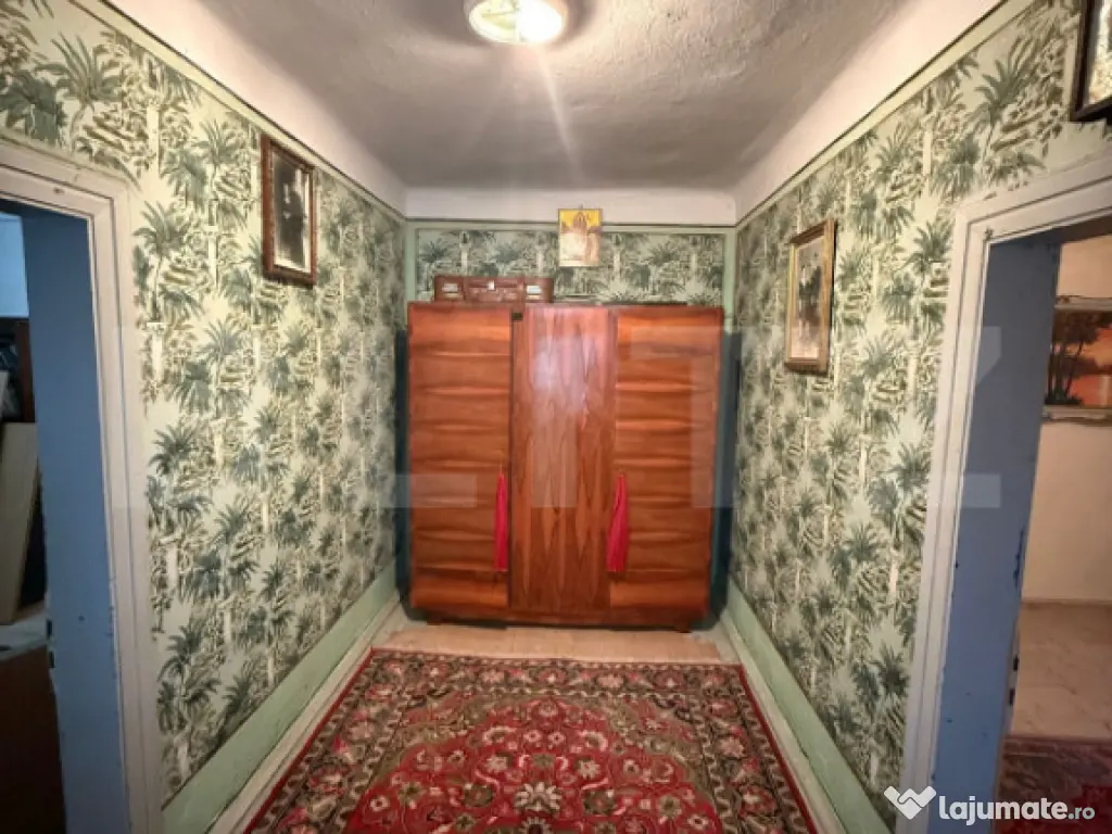 Proprietate completa in Sacuieni- Doua Case + Anexe