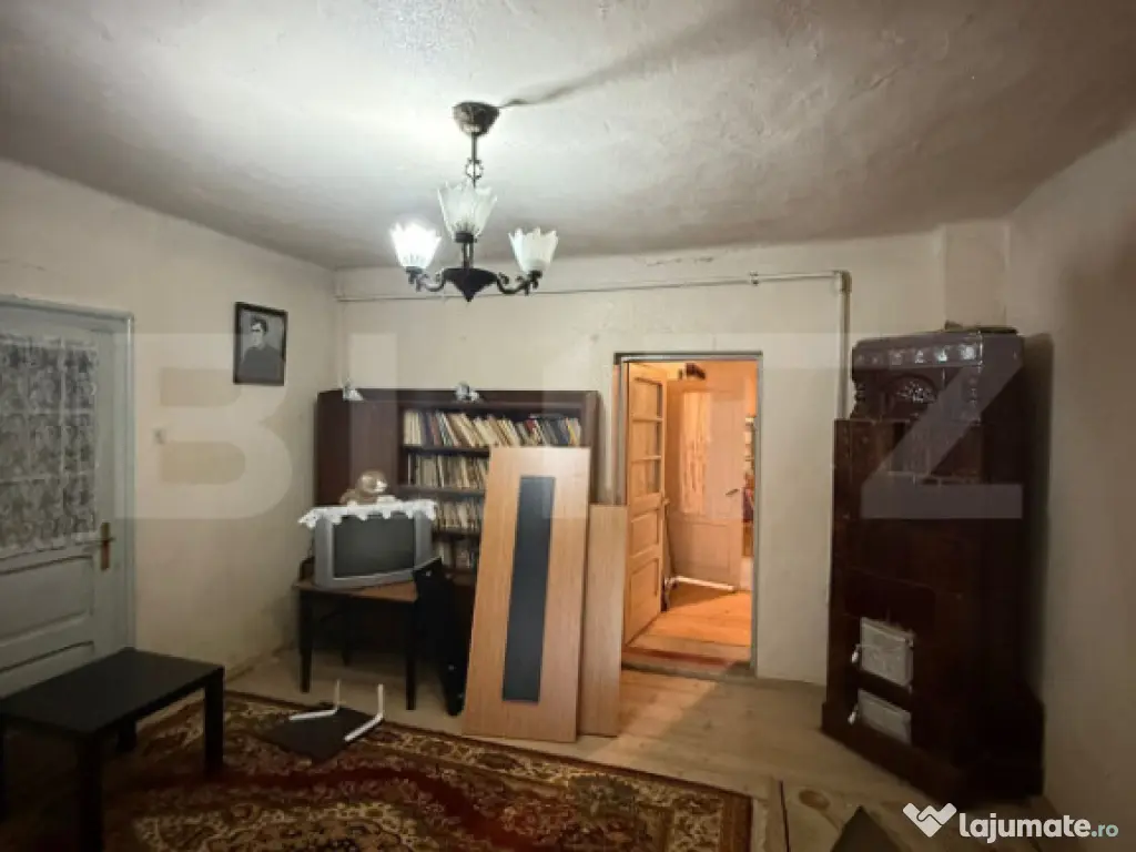 Proprietate completa in Sacuieni- Doua Case + Anexe