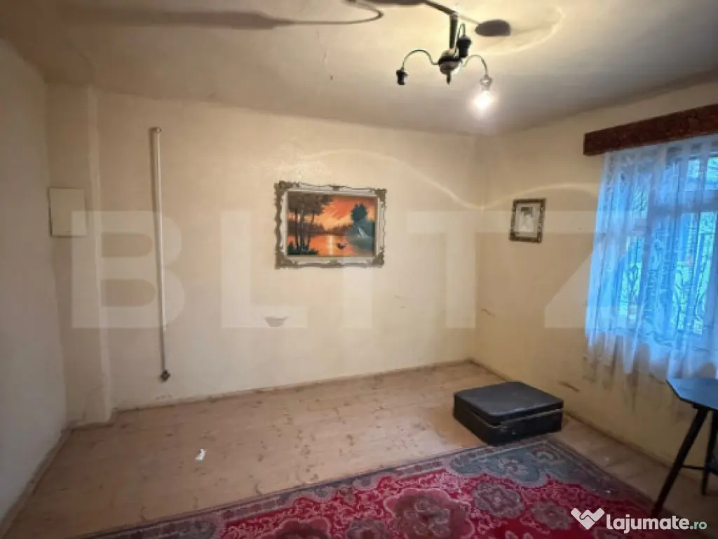 Proprietate completa in Sacuieni- Doua Case + Anexe