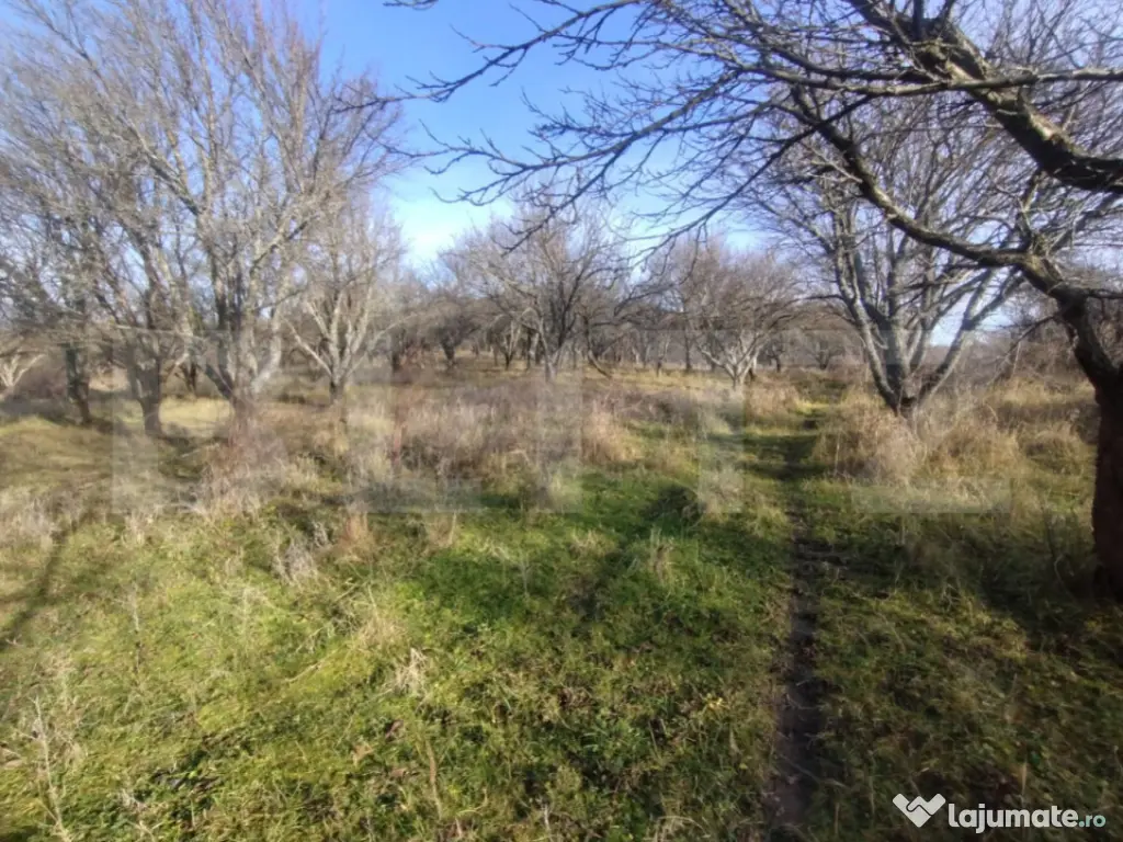 Teren extravilan, (livada pomi) 1,50 ha - zona Subcetate