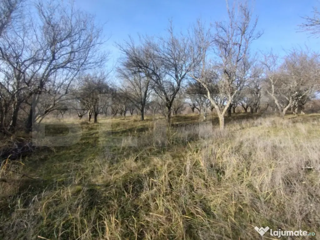 Teren extravilan, (livada pomi) 1,50 ha - zona Subcetate